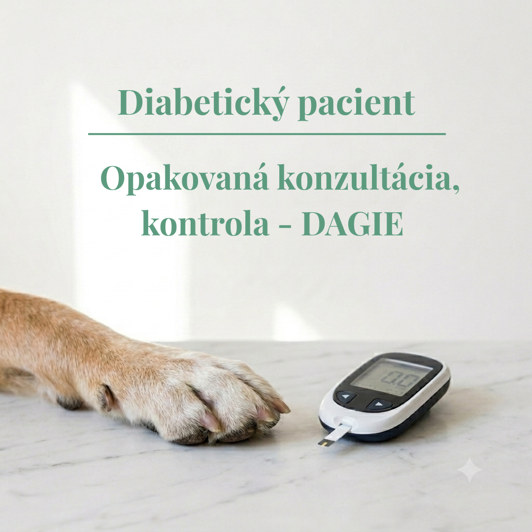 Ďalšie sledovanie stavu a liečby cukrovky u psov a mačiek - ďalšie veterinárne odporúčania a vyhodnocovanie údajov.