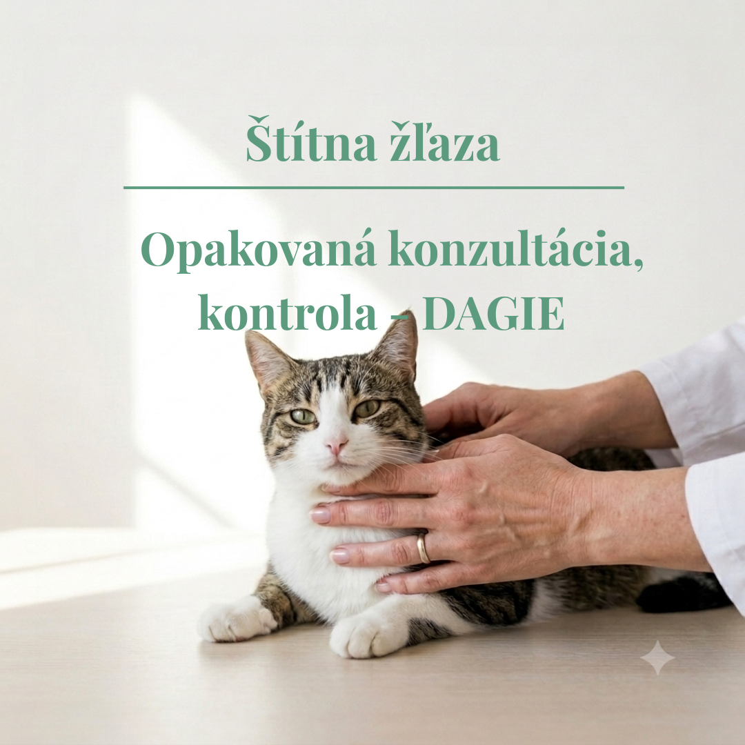 Opakovaná konzultácia štítnej žľazy - monitoring liečby a kontrola zdravotného stavu mačky či psa