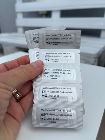 10 ks Ketónové testovacie prúžky pre psy a mačky | WellionVet BELUA