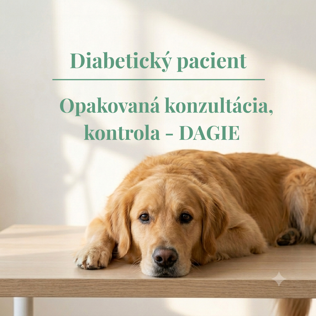 Opakovaná konzultácia Cushingovho syndrómu - monitoring liečby a kontrola zdravotného stavu psa
