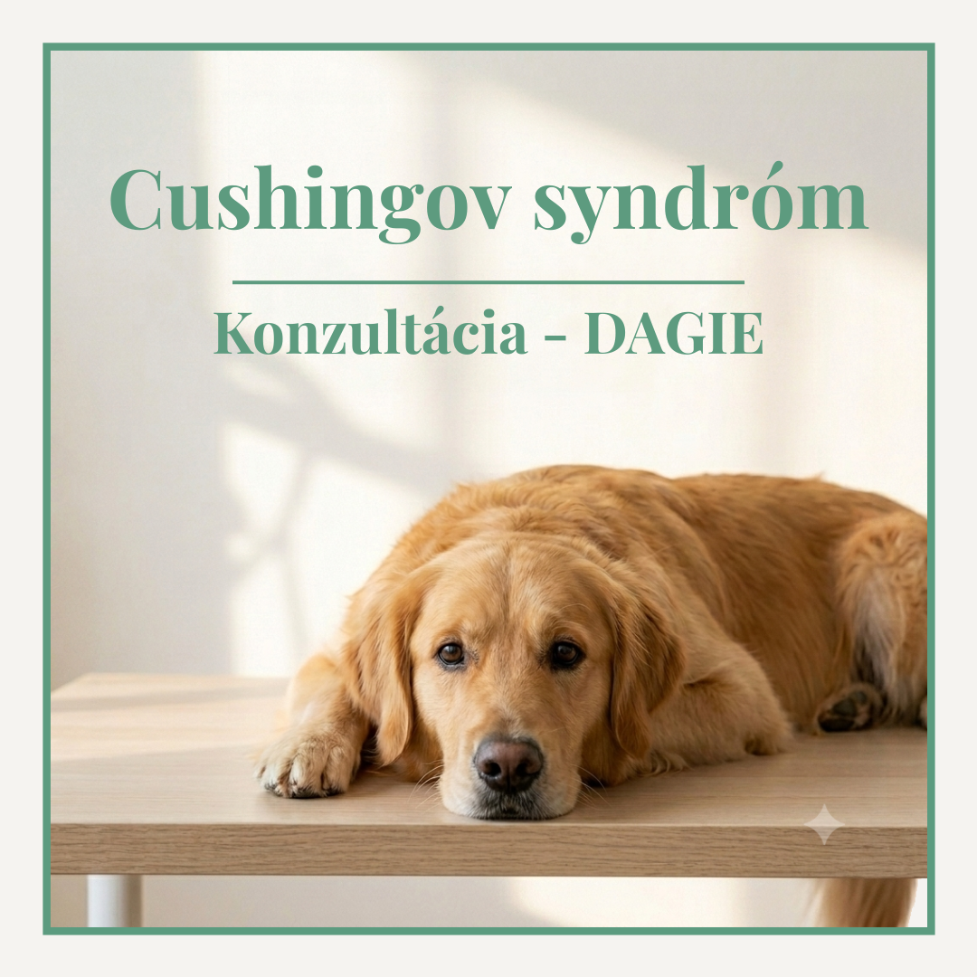 Veterinárna konzultácia Cushingovho syndrómu u psov – hyperadrenokorticizmus, odborná poradňa DAGIE