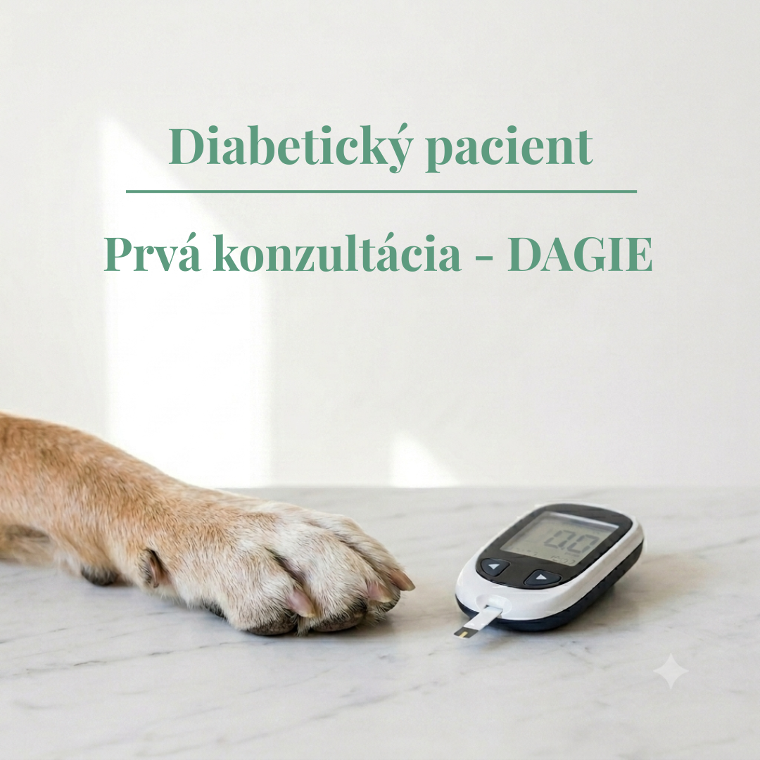 Analýza stavu a návrh liečby cukrovky u psov a mačiek - prvé hĺbkové veterinárne vyšetrenie a odporúčania.