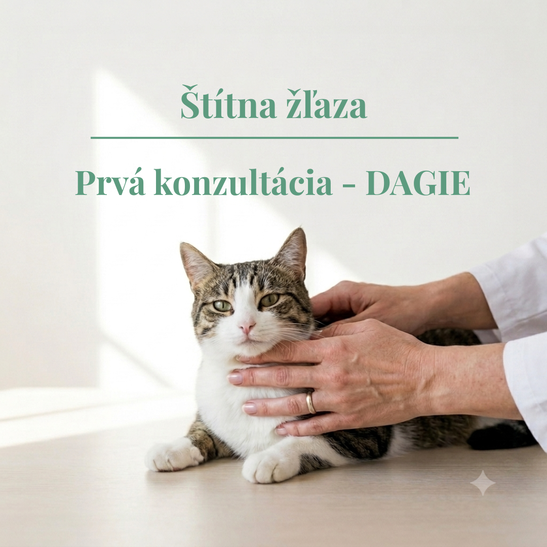chorenia štítnej žľazy - diagnostika a liečba hormonálnych porúch u mačiek a psov