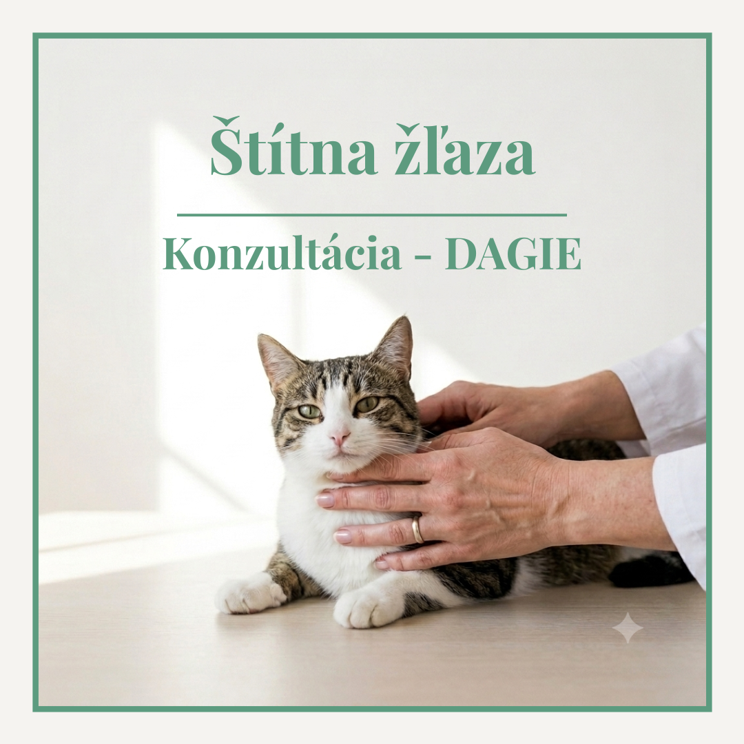 Konzultácia problémov štítnej žľazy u mačky alebo psa – veterinárna endokrinológia online, DAGIEshop, druhý názor
