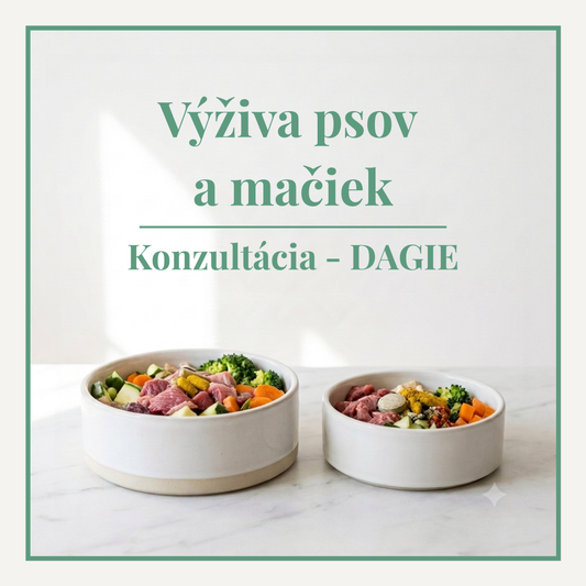 Konzultácia zdravej výživy psov a mačiek - pokyny veterinára na správne kŕmenie