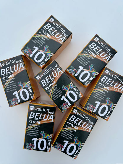 10 ks Ketónové testovacie prúžky pre psy a mačky | WellionVet BELUA